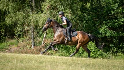 Julis Eventer, Juliane Wyrwol, Vielseitigkeit, Reithelm, Sicherheitsweste, Geländereiten, Gamaschen, Reitsattel, Trense, Galopp, Pferdesport, Cavallo Das Foto zeigt Juliane beim Vielseitigkeitstraining im Gelände auf einem braunen Pferd im Galopp. Sichtbar sind Reithelm und Sicherheitsweste, eine Trense, Gamaschen an den Vorderbeinen sowie Sattel und Schabracke; das Pferd trägt zudem eine Fliegenhaube. Die Szene spielt auf einer grasbewachsenen Wiese am Waldrand, typisch für die Geländestrecke der Vielseitigkeit.