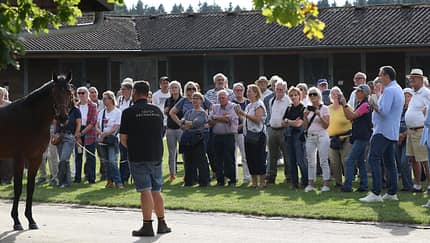 Tag der Gestüte, Vollblutzucht, Pferdezucht, Gestüt, Gestüt Brümmerhof, Vollblut, Rennpferde Zucht Besucher auf einem Gestüt bei der Exterieur-Beurteilung eines Pferds, das vor ihnen steht und von einem Mitarbeiter gehalten wird.
