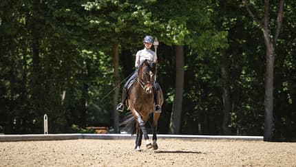 Anna Den und ihr Dunkelbrauner Feiner Prinz auf einem Dressurviereck im Freien in Warendorf.