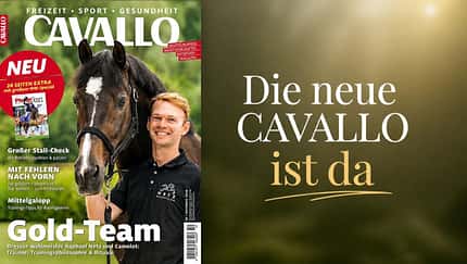 Die Themen der Oktober-Ausgabe