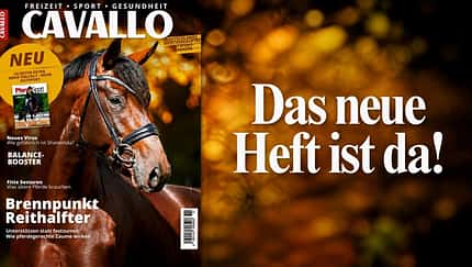 Titel CAVALLO 11/2026 Die CAVALLO-Themen im November 2026