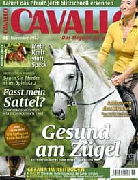 CAV Titel November 2012