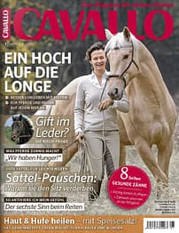 CAV Titel Januar 2015