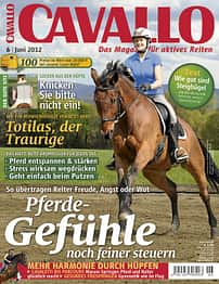 CAV Titel Juni 2012