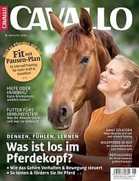 CAV Titel 8 August 2018
