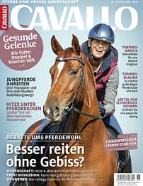 CAv Titel Cover November 2018