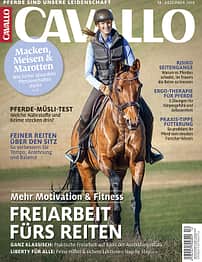 CAV Titel Cover Dezember 2018
