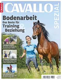 CAV Sonderheft Spezial Bodenarbeit 2018