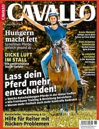 CAV Heft November 2017