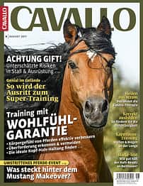 CAV Heft August 2017