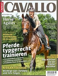 CAV 10/2017 Cover Titel