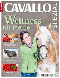 CAV Titel Wellness Sonderheft 2017