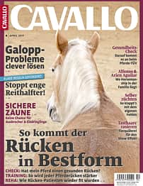 CAV Titel April 2017