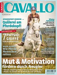 CAV Titel Januar 2017