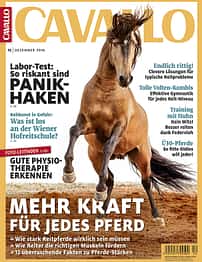 CAV Titel Dezember 2016