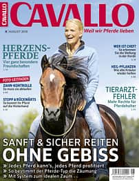 CAV Titel August 2016