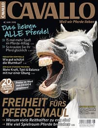 CAV Titel Juni 2016 Jubiläum