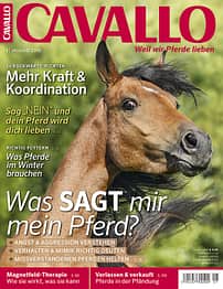 CAV Titel Januar 2016 Heft