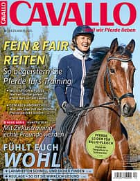 CAV Dezember 2015 Titel