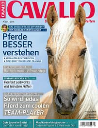 CAV TItel Juli 2015