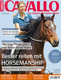 CAV Titel Juni 2015