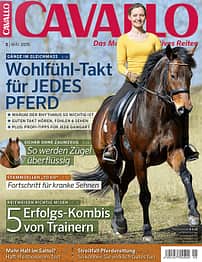 CAV Titel Mai 2015