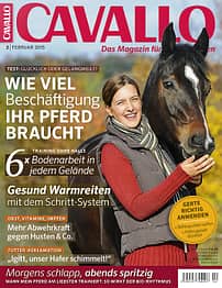 CAV Titel Februar 2015