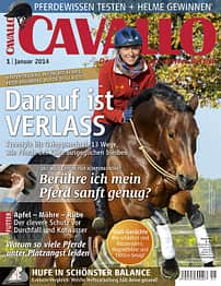 CAV Titel Januar 2014