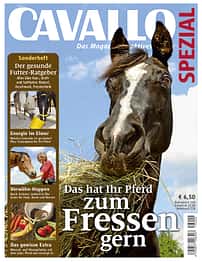 CAV Sonderheft Futter 2013