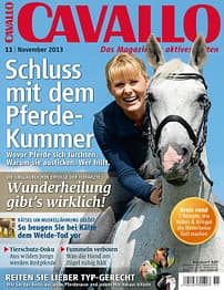 CAV Titel November 2013