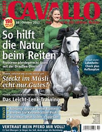 CAV Titel Oktober 2013
