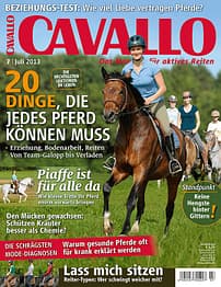 CAV Titel Cover Juli 2013