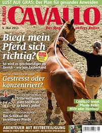 CAV Titel Cover Mai 2013