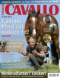 CAV Titel Cover Juni 2013