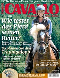 CAV Titel Cover April 2013