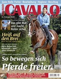 CAV Februar 2013 Cover Titel