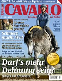 CAV Titel März Cover 2013