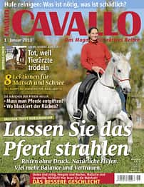 CAV Januar 2013 Cover Titel