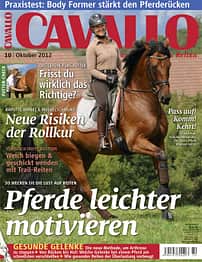 CAV Titel Oktober 2012