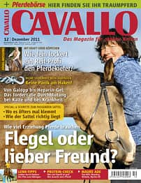 CAV Titel Dezember 2011