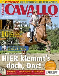 CAV Titel November 2011