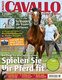 CAV Titel Juni 2011