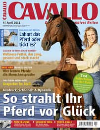 CAV Titel April 2011