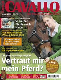 CAV Titel Januar 2011
