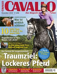 CAV Titel Dezember 2010
