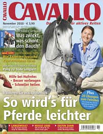 CAV Titel November 2010