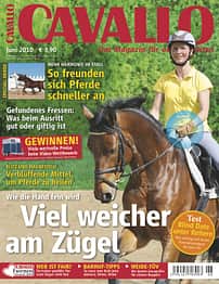 CAV Titel Juni 2010