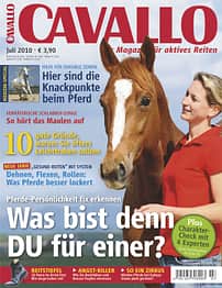 CAV Titel Juli 2010