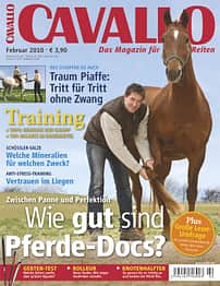 CAV Titel Februar 2010