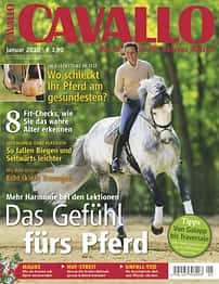 CAV Titel Januar 2010